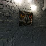 Хостел Murman Hotel Loft, фото гостя