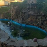 Гостиница Замок, фото гостя