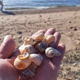 Гостевой дом Устье, фото гостя