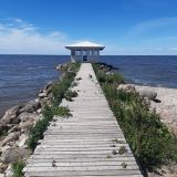 Гостевой дом Устье, фото гостя