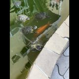 Гостевой дом Эдем-2, фото гостя