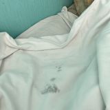 Хостел Hotelhot Гостиный дом на Невском, фото гостя