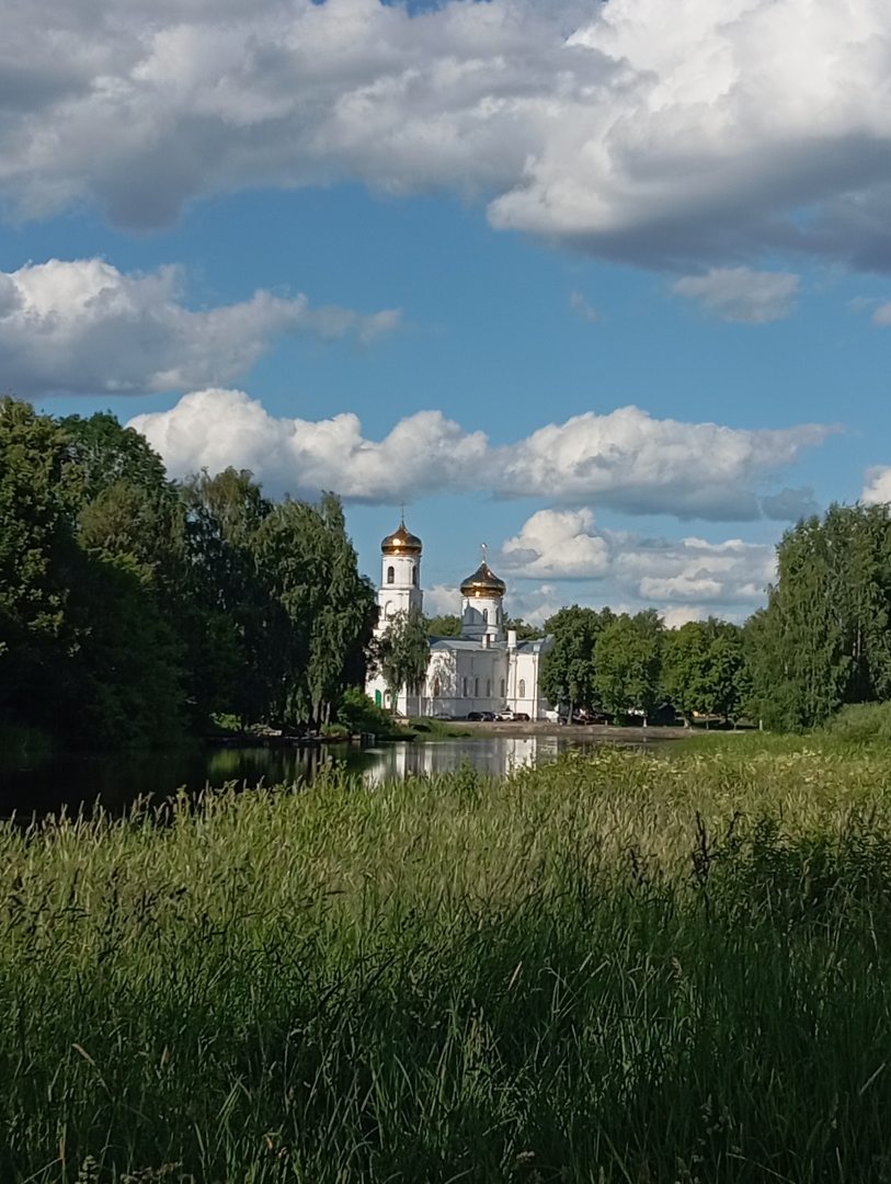 Отдых в Тверской области летом 2024, отзывы