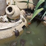 Гостевой дом Эдем-2, фото гостя