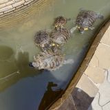 Гостевой дом Эдем-2, фото гостя