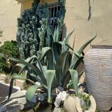 Гостевой дом Эдем-2, фото гостя