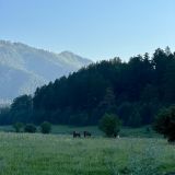 База отдыха Алтай Лотос, фото гостя