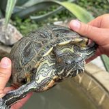 Гостевой дом Эдем-2, фото гостя