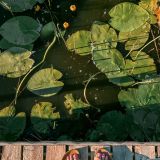 База отдыха Новинка, фото гостя