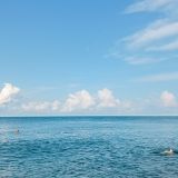 Сириус, фото отдыхающего в июне