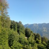 Сириус, фото отдыхающего в июне