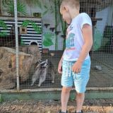 База отдыха Волшебная страна, фото гостя