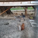 База отдыха Волшебная страна, фото гостя