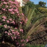 Отель М Отель, фото гостя