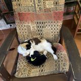 Гостевой комплекс Изборск, фото гостя