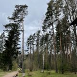 Санаторий Архитектура здоровья, фото гостя