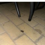 Гостевой дом Макарена, фото гостя