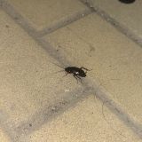 Гостевой дом Макарена, фото гостя