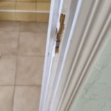 Гостевой дом Виноградный, фото гостя
