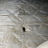 Хостел Travel Inn, фото гостя