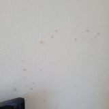 Жилой комплекс Старгород, фото гостя