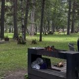 Загородный отель Forest cottage, фото гостя