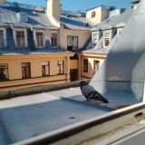 Отель Капитал на Московском проспекте, фото гостя