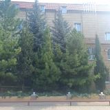 Гостиница Держава, фото гостя