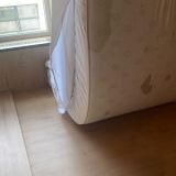 Апартаменты Максимус на Лесной, фото гостя