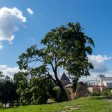 Смоленская область, фото отдыхающего в июле