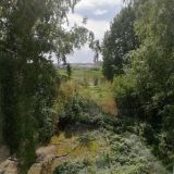 Гостиница Круиз, фото гостя