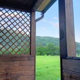 База отдыха Две реки, фото гостя