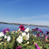 Иркутск, фото отдыхающего в августе