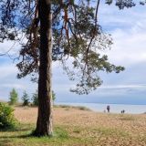 Загородный отель Комарово, фото гостя