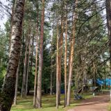 Загородный отель Комарово, фото гостя