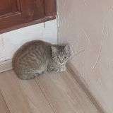 Гостиница Держава, фото гостя