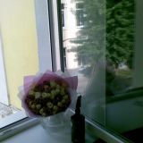 Axel Hostel, фото гостя