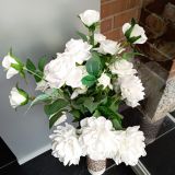 Гостиница Адмирал, фото гостя