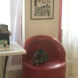 Отель Матисов Домик у Новой Голландии, фото гостя