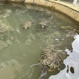 Гостевой дом Эдем-2, фото гостя