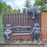 Отель Три кота, фото гостя