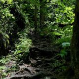 Мезмай, фото отдыхающего в августе