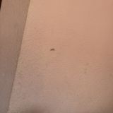 Гостевой дом Капитал Эконом, фото гостя