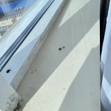 Отель Кристалл де Люкс, фото гостя