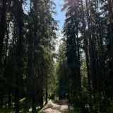 Загородный отель Комарово, фото гостя