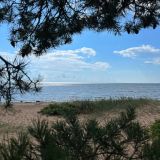 Загородный отель Комарово, фото гостя