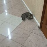 Мини-отель Ладомир в Филях, фото гостя