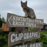 Загородный комплекс Farm & Village, фото гостя