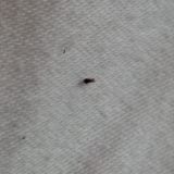 Отель ROTAS на Красноармейской, фото гостя