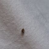 Отель ROTAS на Красноармейской, фото гостя